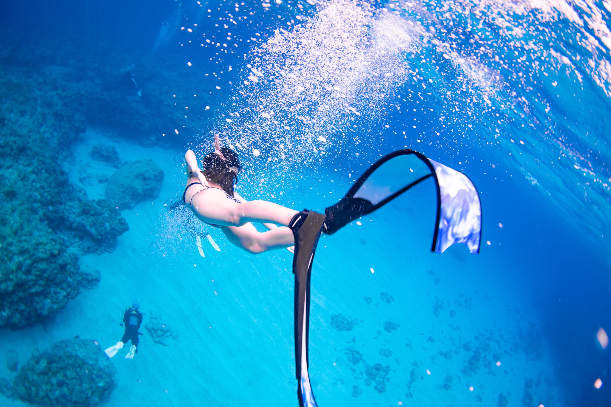 Diving Course Image
